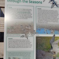 Wwt Steart Marshes (2024) All You Need To Know Before You Go (with Photos)