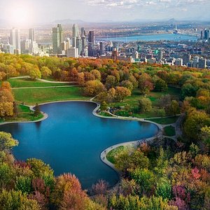 Mount Royal Park (Montreal) - All You Need to Know BEFORE You Go