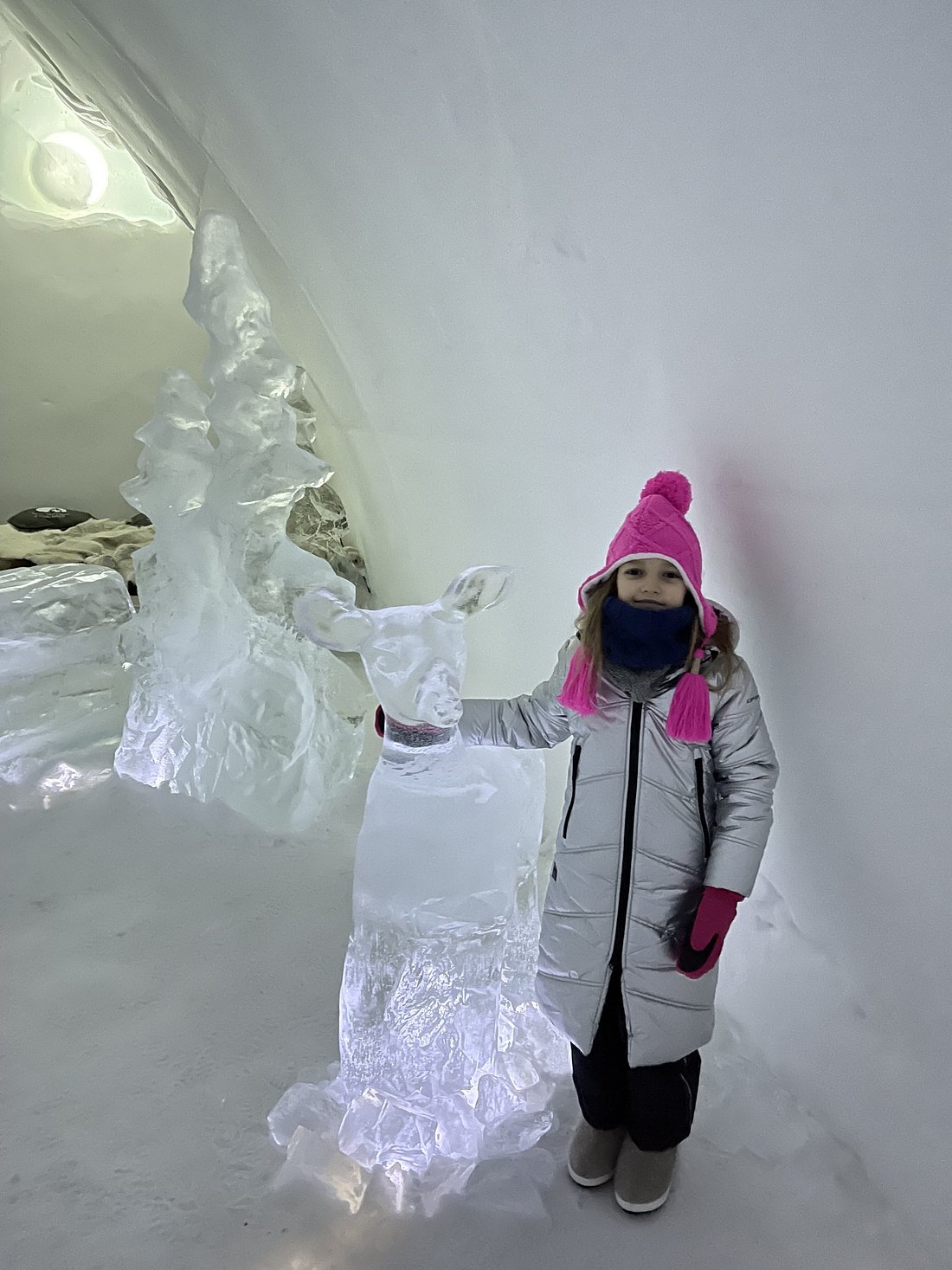 ARCTIC SNOWHOTEL & GLASS IGLOOS (Синетта) - отзывы, фото и сравнение цен -  Tripadvisor