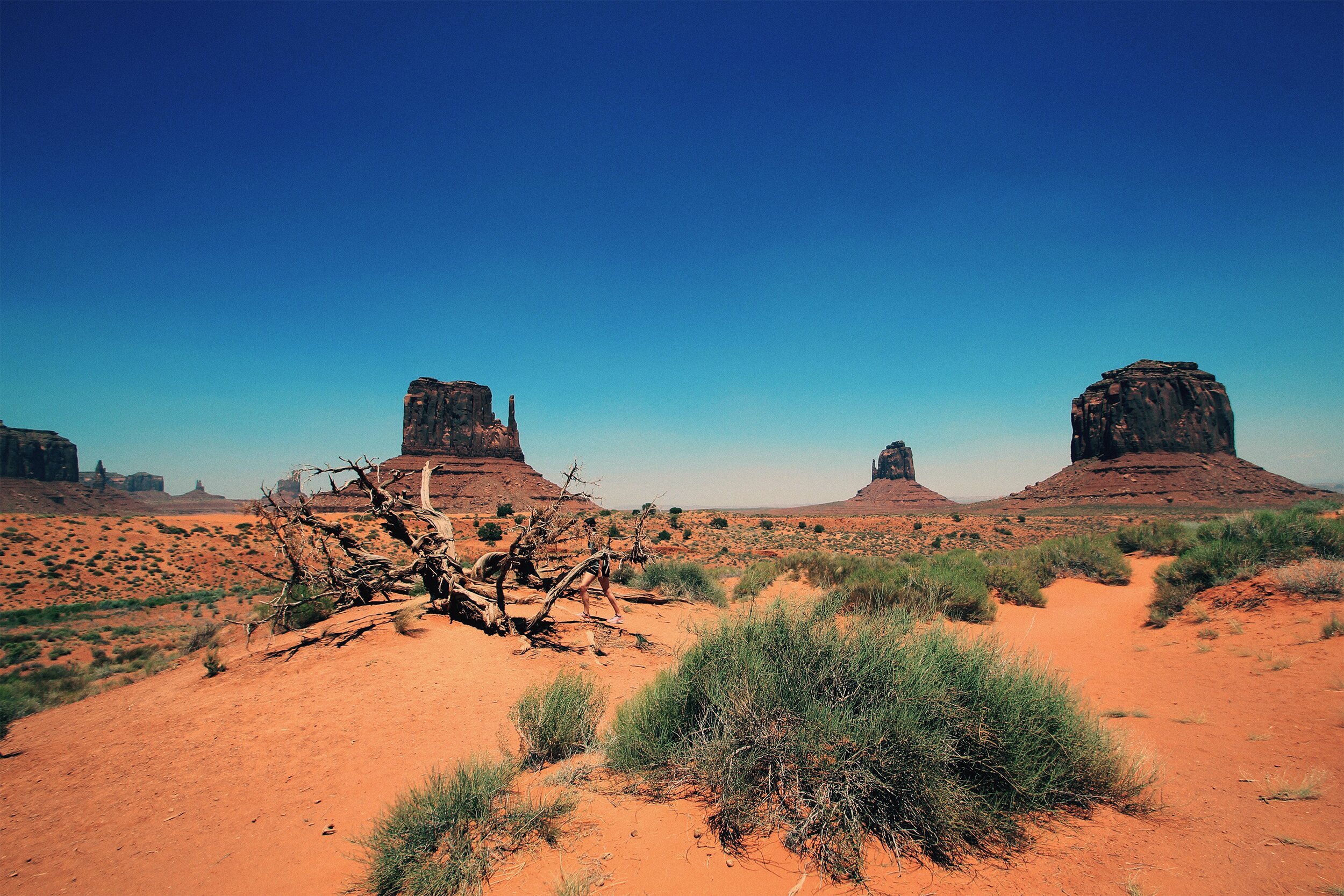 Monument Valley, UT 2024: Best Places To Visit - Tripadvisor