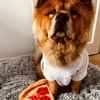Kimilovesfood
