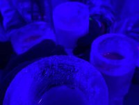 É fria - Avaliações de viajantes - Dreams Ice Bar - Tripadvisor