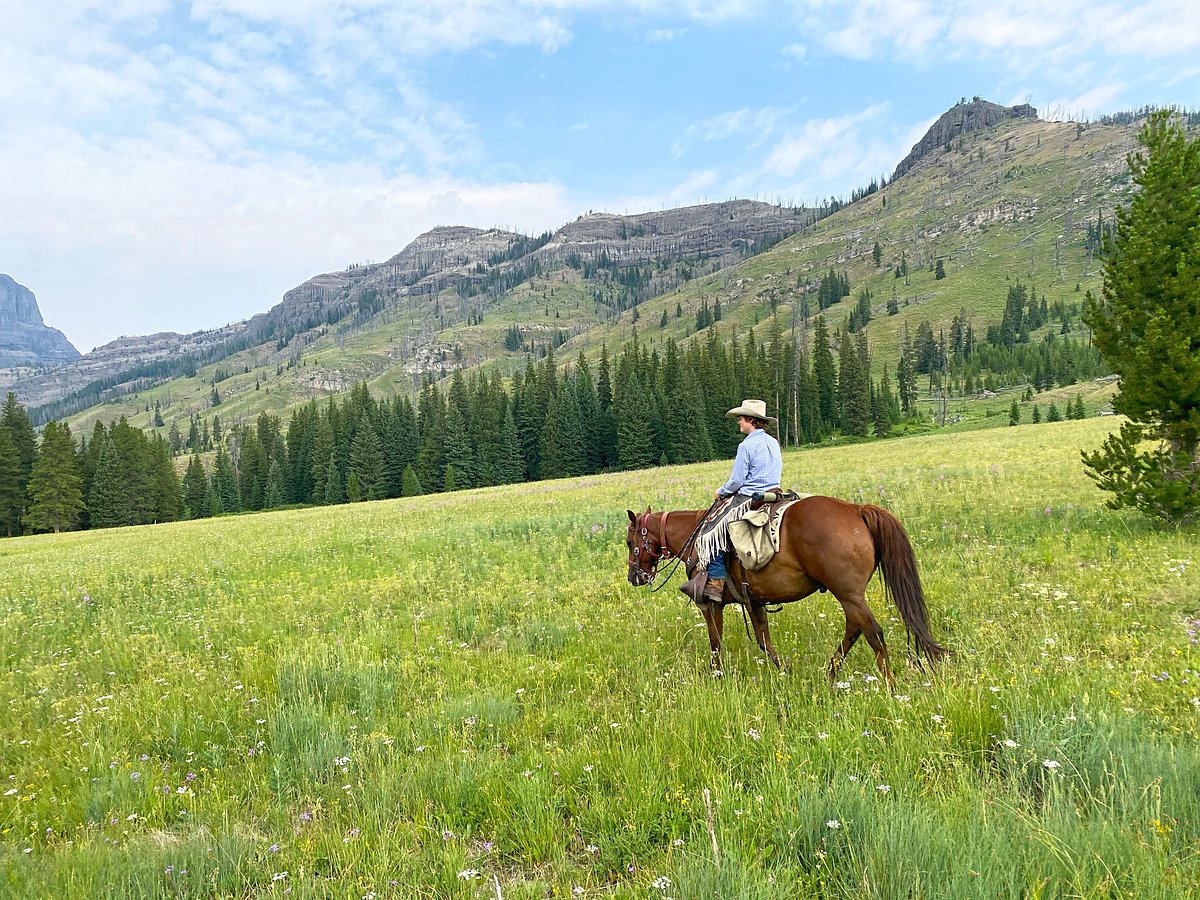 Skyline Guest Ranch and Guide Service (Cooke City) - All You Need to ...
