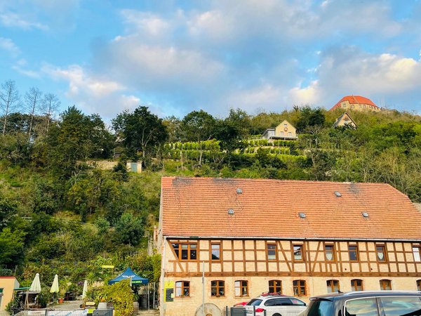 DIE 10 BESTEN Restaurants in Freyburg 2025 (mit Bildern)