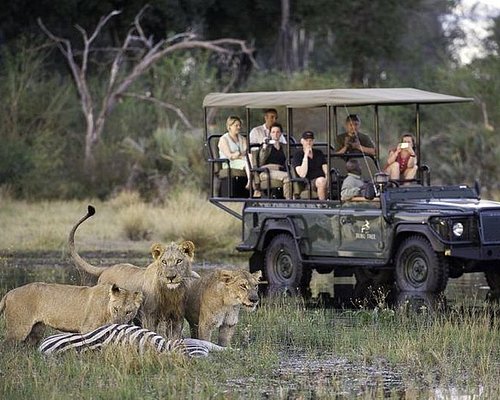 botswana safari deutschsprachige
