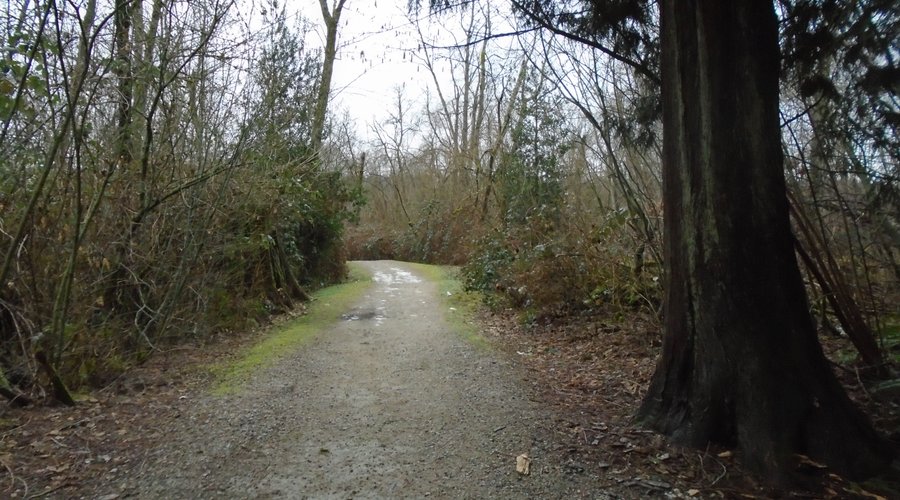 Typical trail