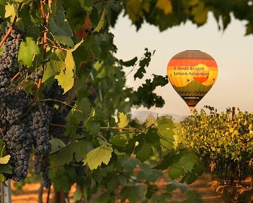 A Grape Escape Balloon Adventure - All You Need to Know BEFORE You