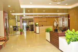 Comfort Inn Prince in Bhuj, image may contain: Potted Plant, Plant, Indoors, Foyer