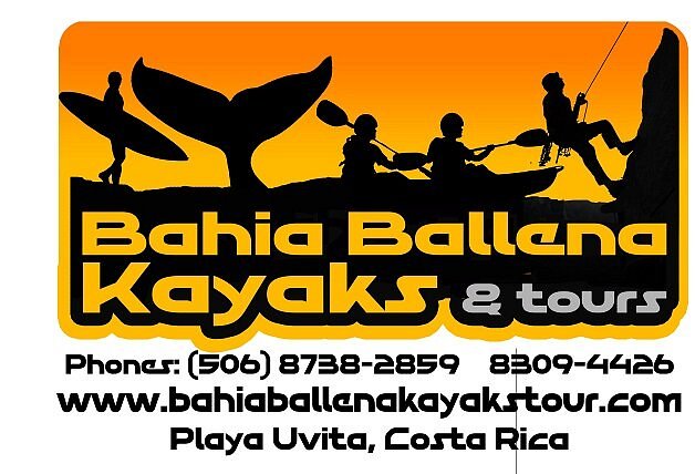 Bahia Ballena Kayaks image