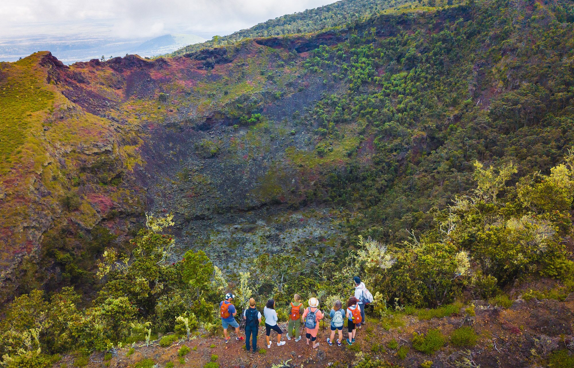 Hawaii Forest And Trail Kailua Kona 2022 Lohnt Es Sich Mit Fotos