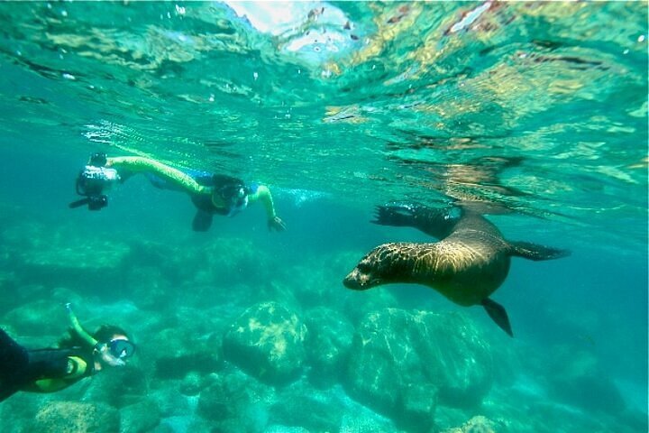 cabo arch snorkel tour