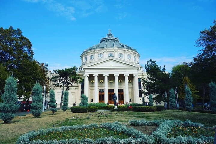 2024 6 Day In Bucharest With Your Private Robot Guide   Caption 