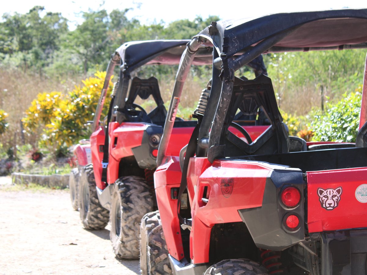 jungle buggy playa del carmen