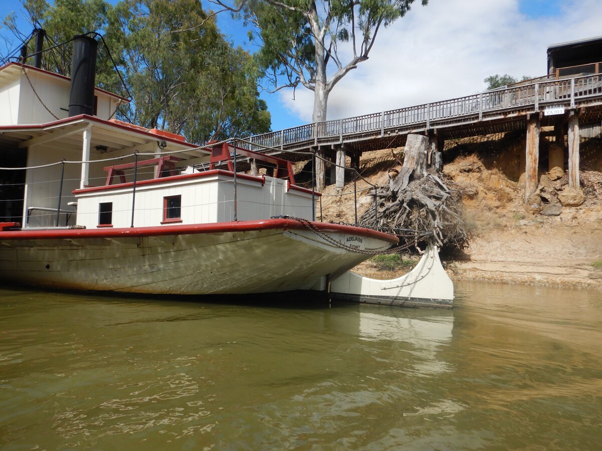 echuca riverboat hire