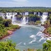 thenaturesview