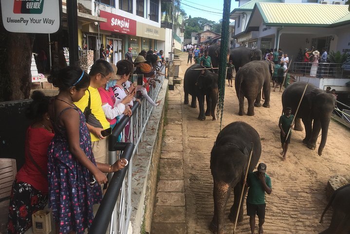 Tripadvisor | Tagestour Zu Pidurangala, Sigiriya Und Dambulla ...