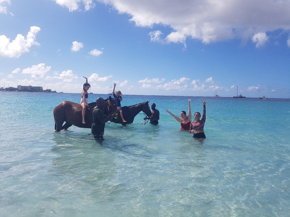 The 5 Best Barbados Horseback Riding Tours (with Photos) - Tripadvisor