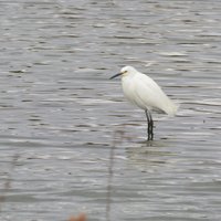 Baytown Nature Center - All You Need to Know BEFORE You Go