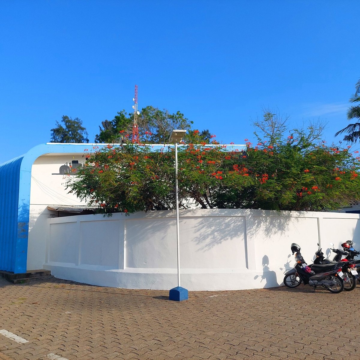 Institut Français Du Bénin (Cotonou): All You Need to Know