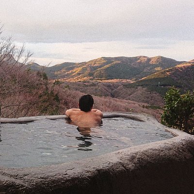 コージーイン 箱根の山