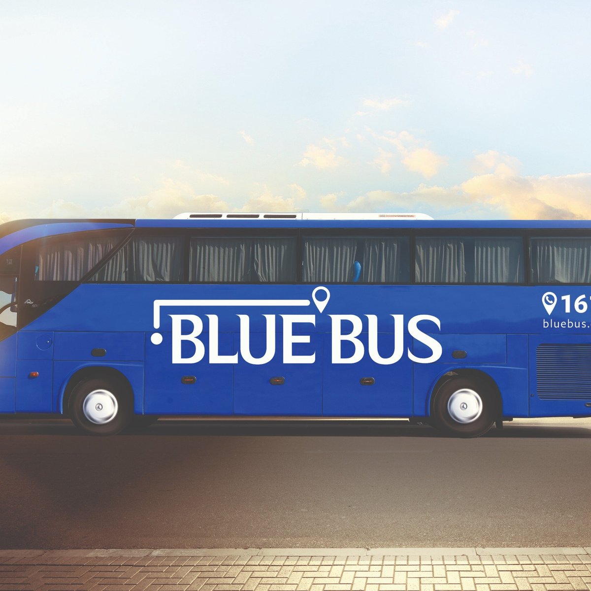 تعليقات حول ‪Blue Bus Egypt‬ - مدينة القاهرة الجديدة, مصر - Tripadvisor