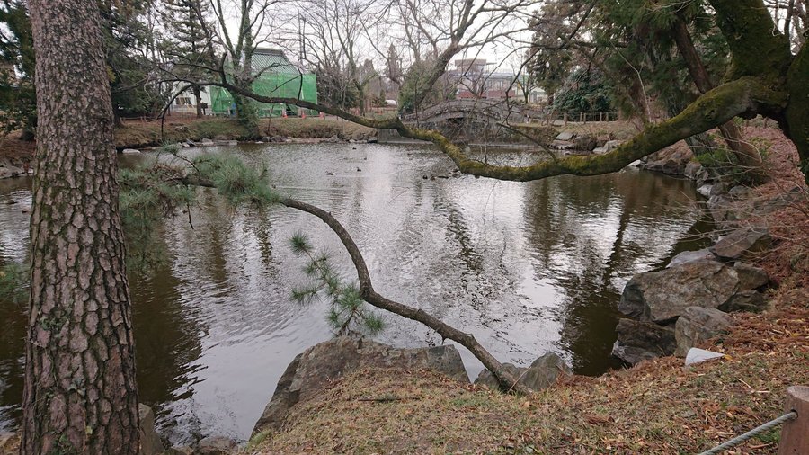 蓮池