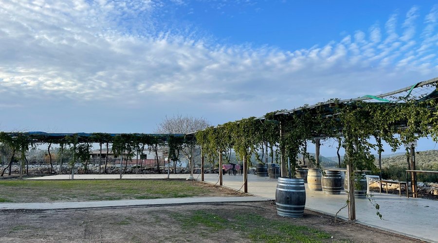 Hans Sternbach Winery, Givat Yeshayahu - 레스토랑 리뷰 - 트립어드바이저