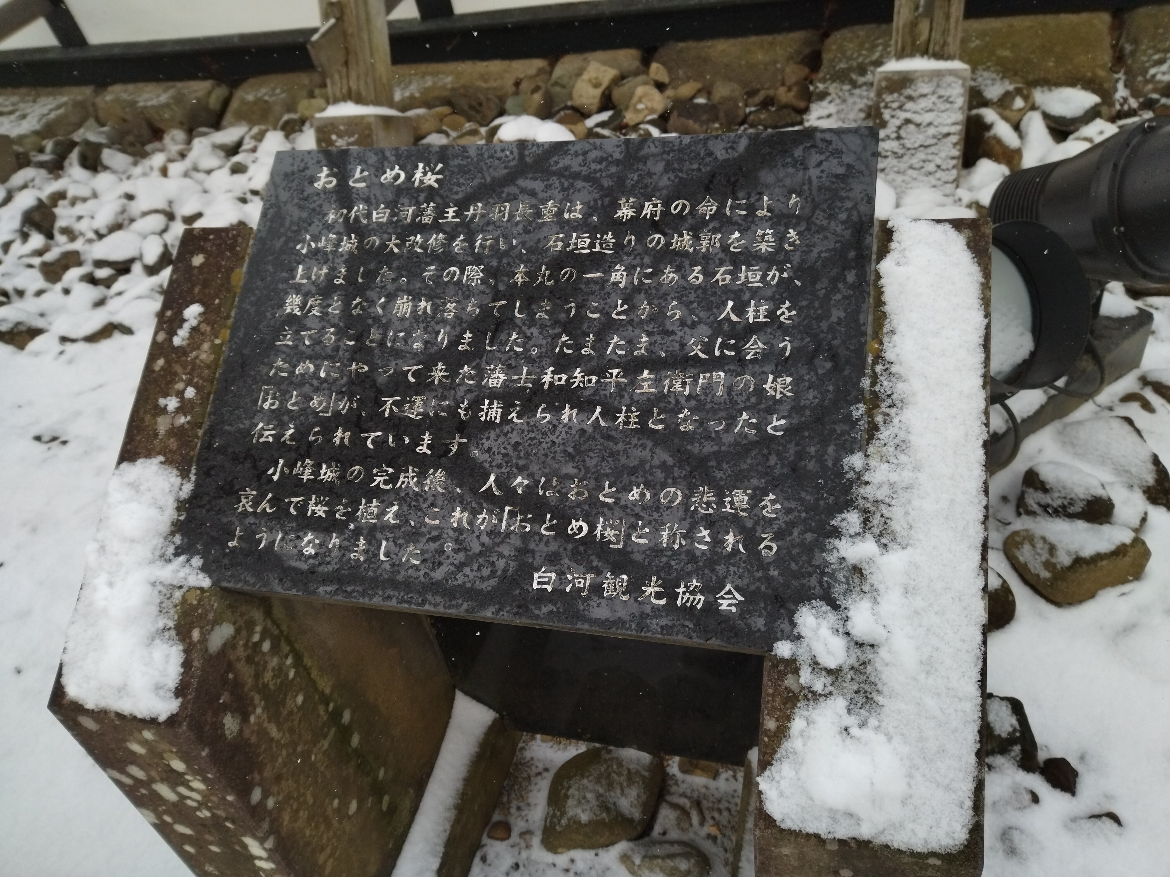 Otome Cherry Blossoms, Shirakawa: лучшие советы перед посещением ...