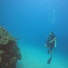 The Solo Introvert Traveler