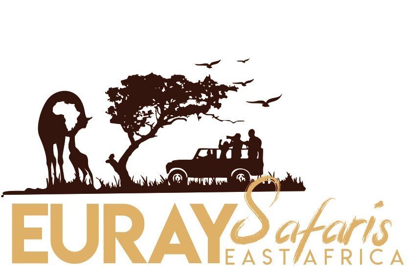 Euray Safaris E.a - All You Need To Know Before You Go (2024)