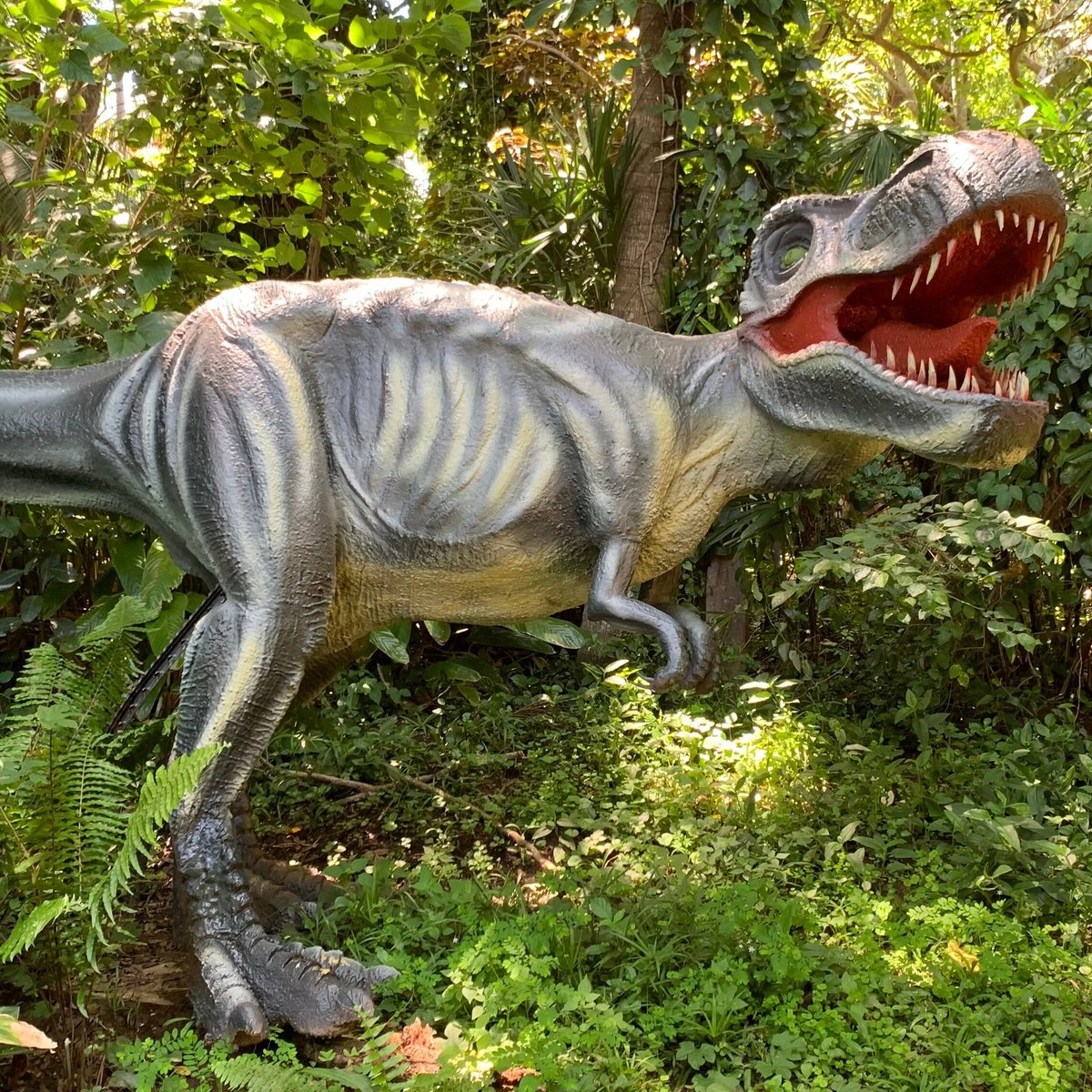 Dino Park Port Shepstone Lo Que Se Debe Saber Antes De Viajar