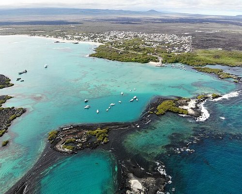 galapagos tour guide