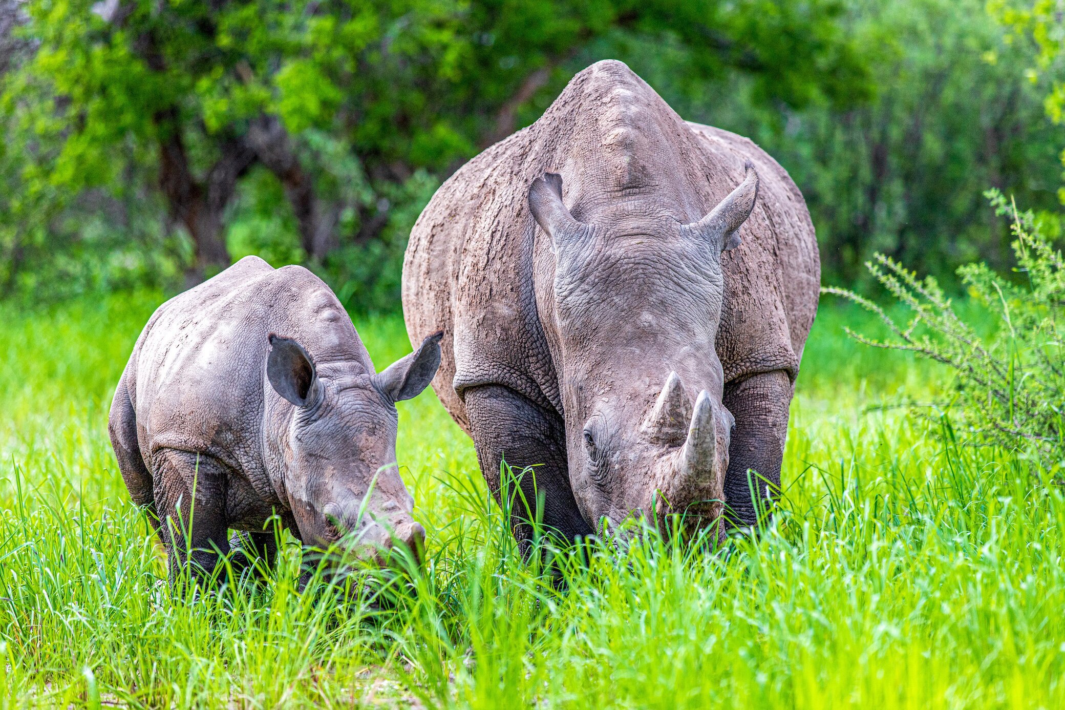 THE BEST Things To Do In Malindi Marine National Park - 2024 (with ...