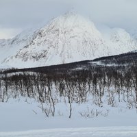 The Lyngen Alps (Tromso) - All You Need to Know BEFORE You Go