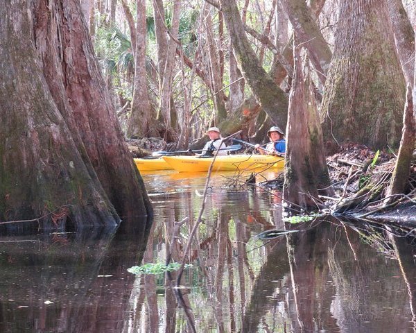 THE 15 BEST Things to Do in Sanford - 2024 (with Photos) - Tripadvisor