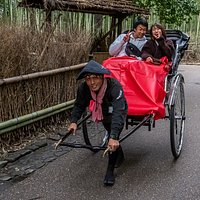 Bamboo Forest Street (Kyoto) - All You Need to Know BEFORE You Go