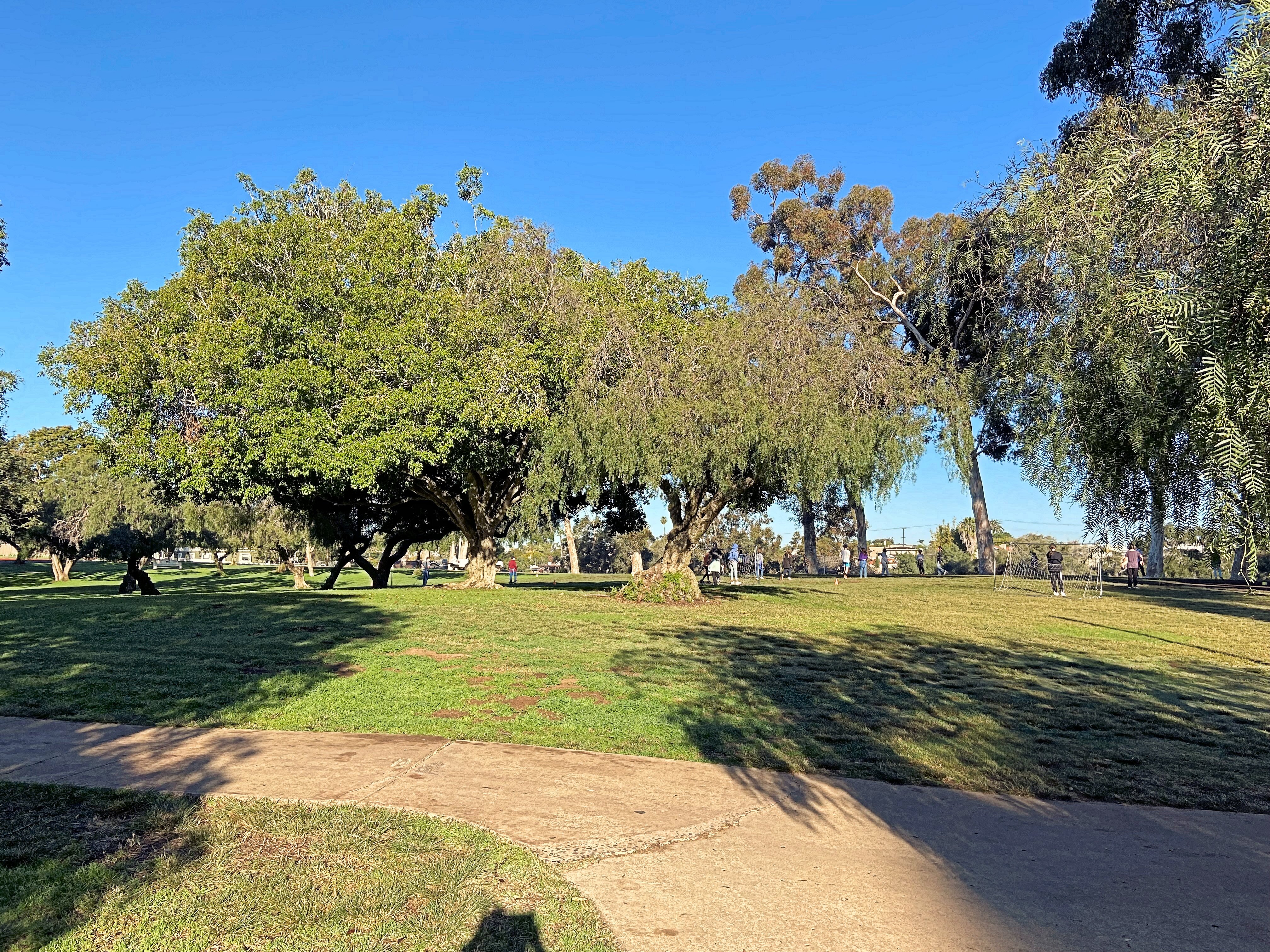 Pioneer Park (San Diego) - All You Need To Know BEFORE You Go