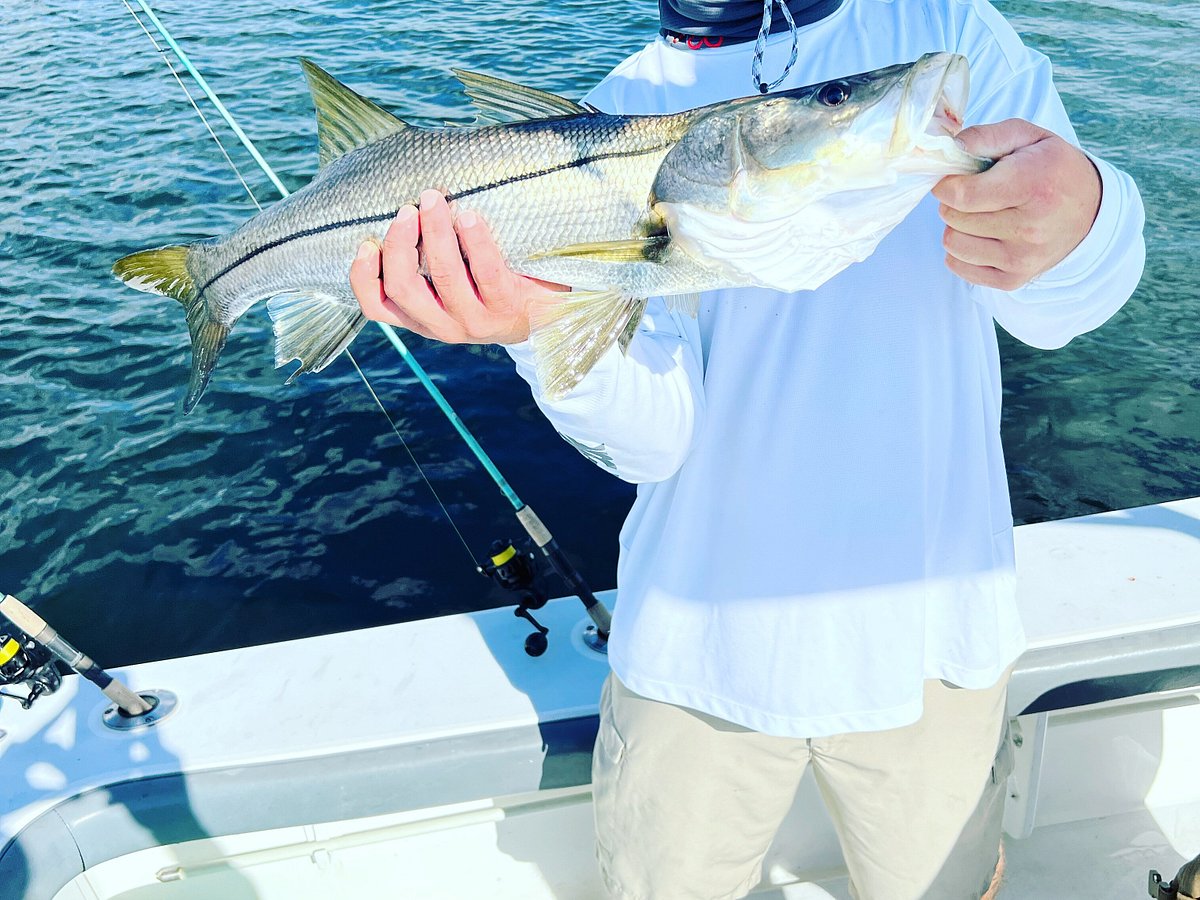 Shark fishing right off the beach always makes for a great action packed  charter - Picture of Charleston Fish Rod Bending Company - Private Fishing  Charters - Tripadvisor