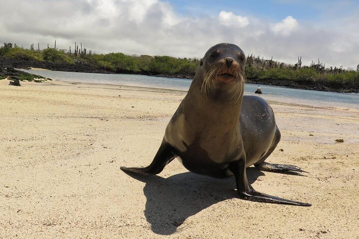 2024 6 Days Galapagos Island Hopping Tour   Caption 