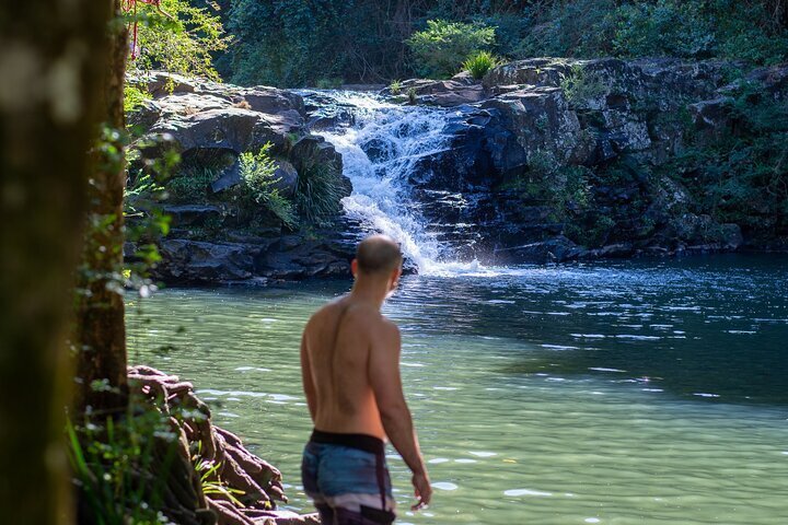 2023 Full-Day Guided Hinterland Adventure Tour in Queensland