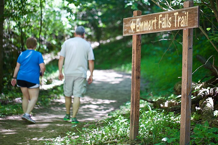 Emmert Falls Primitive Trail image