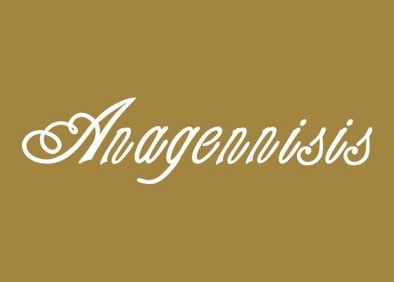 Anagennisis Restaurant Naxos | Authentic Gastronomic Experience