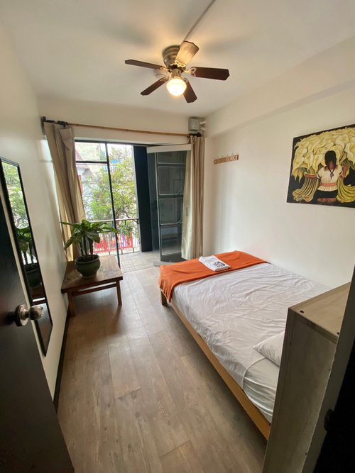 BLACK LLAMA HOSTEL, MIRAFLORES - Updated 2024 Prices & Reviews (Lima, Peru)