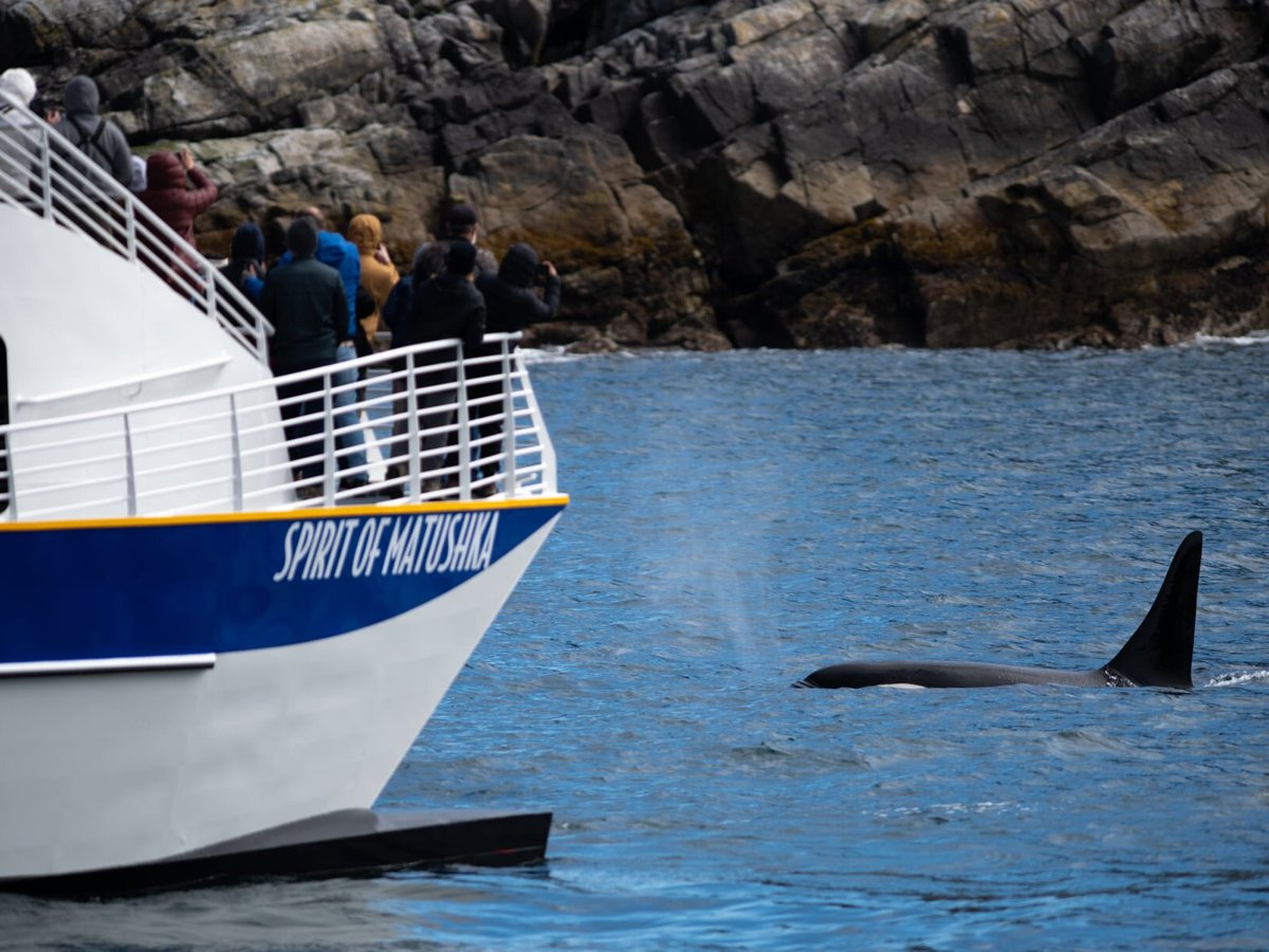 MAJOR MARINE TOURS (Seward) - All You Need to Know BEFORE You Go