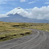 COTOPAXI NATIONAL PARK (Cotopaxi Province) - All You Need to Know ...