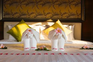 Room & Suite