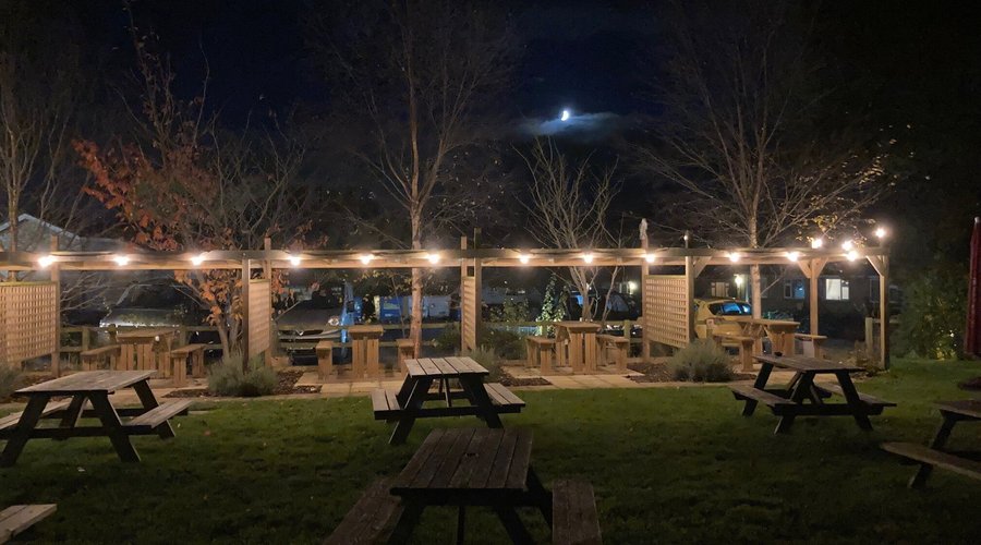 Night time in the garden