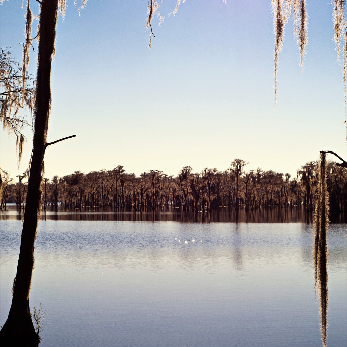 Banks Lake National Wildlife Refuge (Lakeland) - All You Need to Know ...