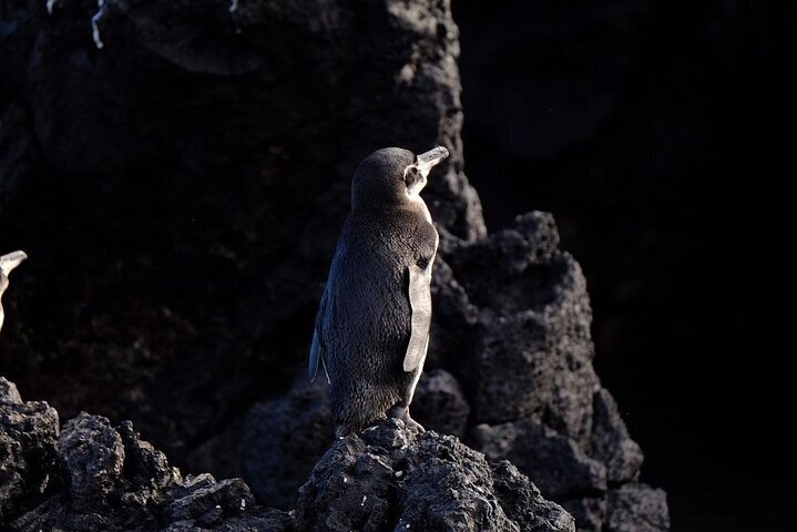 2024 4 Days Galapagos Total Experiences   Caption 