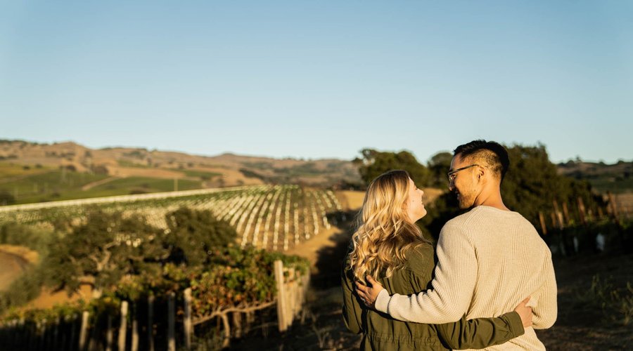 Vineyards